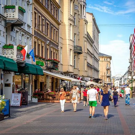 Elegant Fantastic View